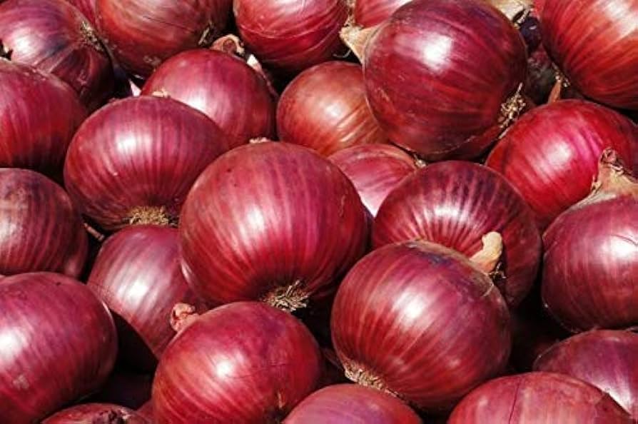 Fresh Onions